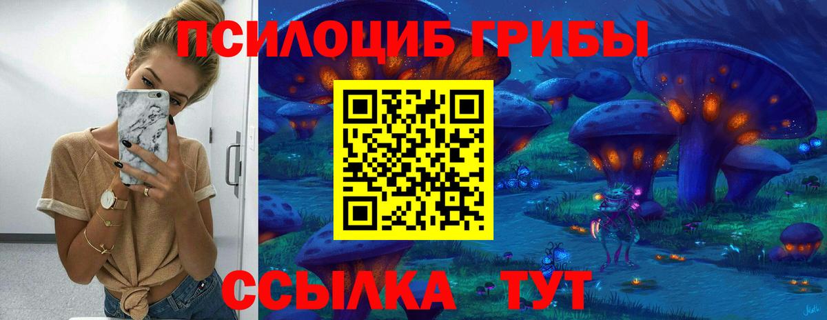 Электросталь  Псилоцибиновые грибы мухоморы  закладка  Псилоцибиновые грибы Cubensis  Вход с VPN 